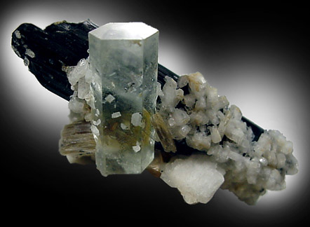 Mineral Specimens: Beryl, Schorl Tourmaline, Muscovite, Albite from Shengus, Skardu Road, Gilgit, Pakistan