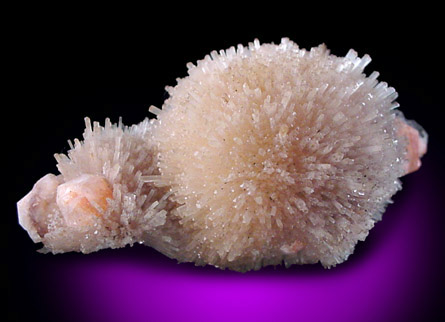 Mineral Specimens: Natrolite and Analcite from Halls Harbor, Nova Scotia, Canada