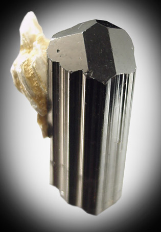 Mineral Specimens: Schorl Tourmaline with Muscovite from Basha Nala, Shigar Valley, Skardu, Pakistan