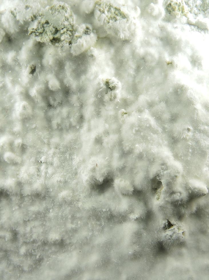 Detail view of mineral Artinite for sale from Spring Street at Medford Road, Staten Island, New York City, Richmond County, New York