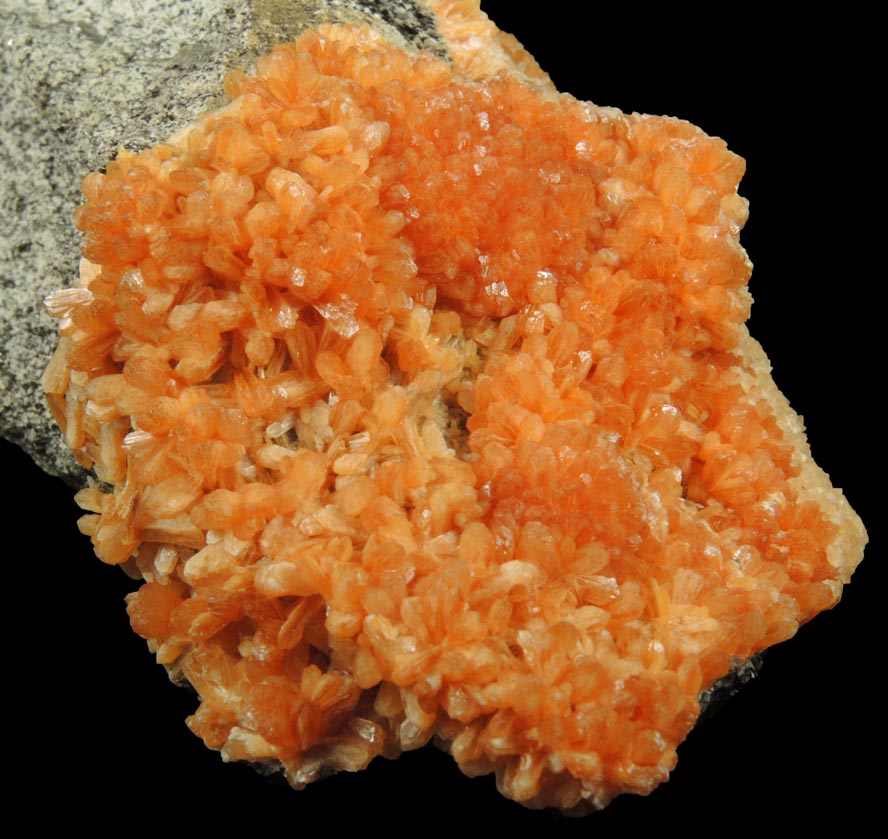 Detail view of mineral Stilbite-Ca and Calcite for sale from Water Tunnel No.3 under Manhattan Island, New York City, New York County, New York