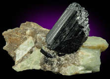 Schorl Tourmaline in Quartz-Albite for sale from west shore of Manhattan Island at 102 Street, New York City, New York County, New York
