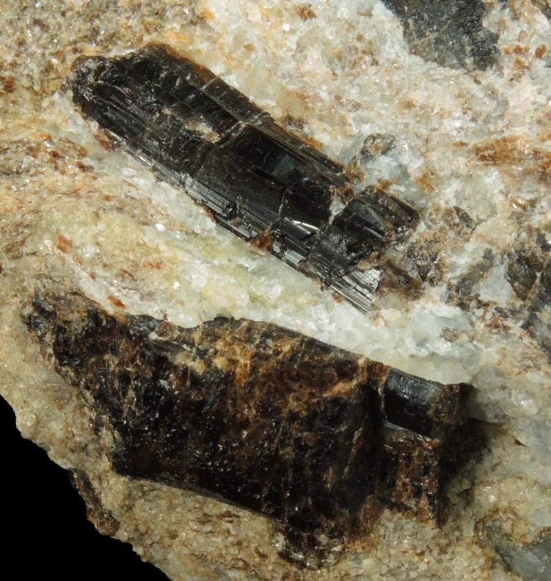 Detail view of mineral Dravite-Uvite Tourmaline in Inwood Marble for sale from northwest corner of 207 Street and Broadway, Manhattan Island, New York City, New York County, New York