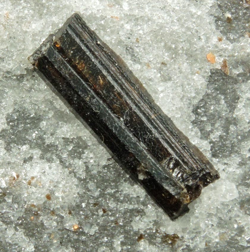 Detail view of mineral Dravite-Uvite Tourmaline in Inwood Marble for sale from Harlem Ship Canal excavation, norther Manhattan Island, New York City, New York County, New York