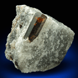 Dravite-Uvite Tourmaline in Inwood Marble (best of find) for sale from Harlem Ship Canal excavation, norther Manhattan Island, New York City, New York County, New York