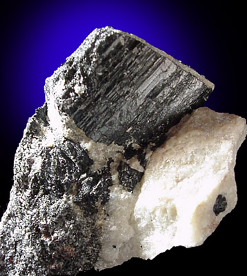 Mineral Specimens: Schorl Tourmaline from Harlem Meer Construction site, Central Park, Manhattan, New York