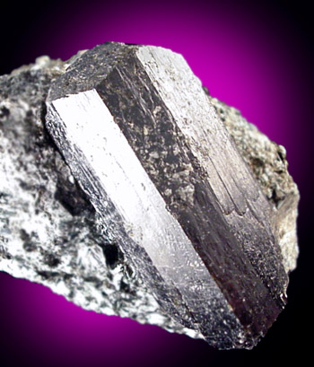 Mineral Specimens: Schorl Tourmaline from Biermann's Quarry, Bethel, Connecticut