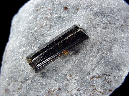 Mineral Specimens: Uvite / Dravite Tourmaline from Inwood Hill Park, Manhattan Island, New York City, New York