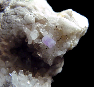 Mineral Specimens: Fluorapatite (purple) on Quartz, Albite from Harvard Quarry, Greenwood, Maine