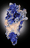 Mineral specimen: Azurite on Limonite matrix from Phelps Dodge Morenci Mine, Morenci, Arizona.